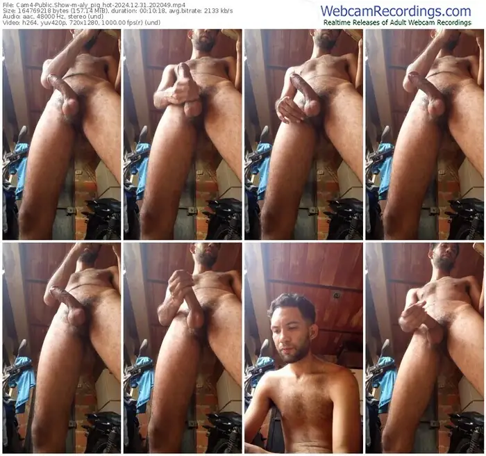 cam4-aly_pig_hot-12-31-2024-20-20-49