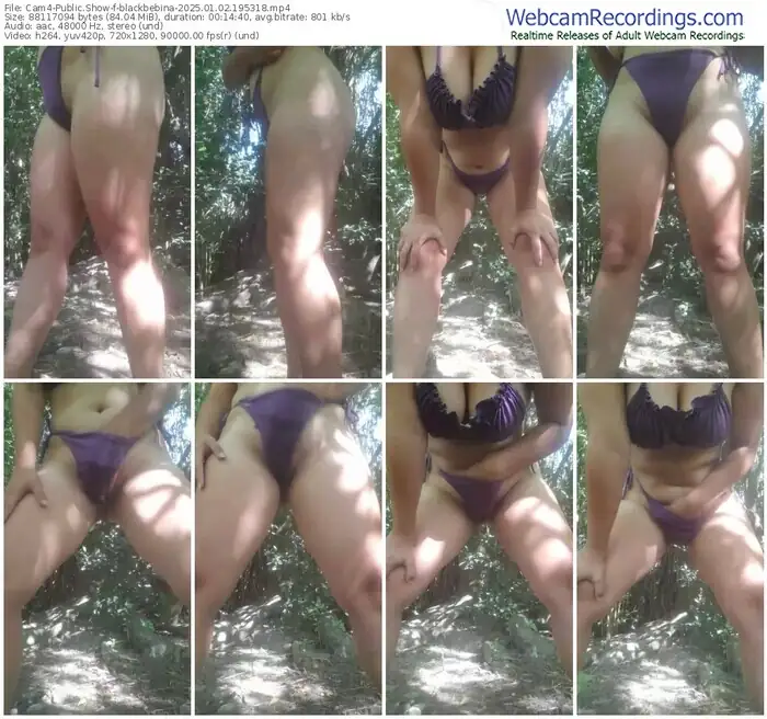 cam4-blackbebina-01-02-2025-19-53-18