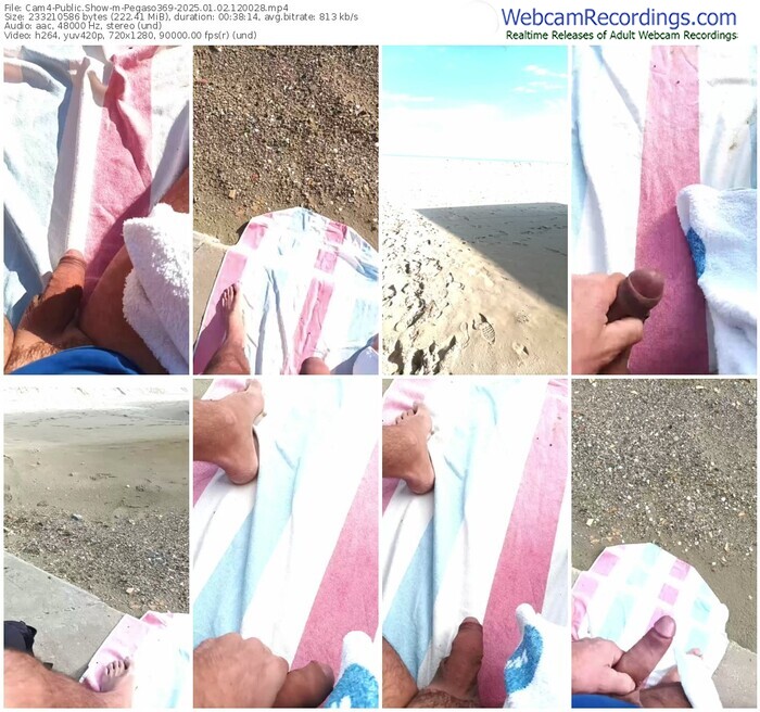 cam4-pegaso369-01-02-2025-12-00-28