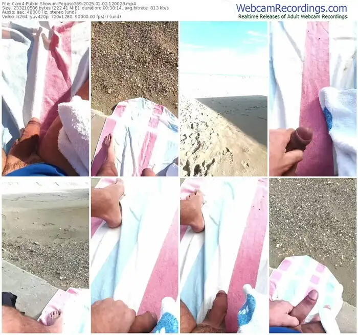 cam4-pegaso369-01-02-2025-12-00-28