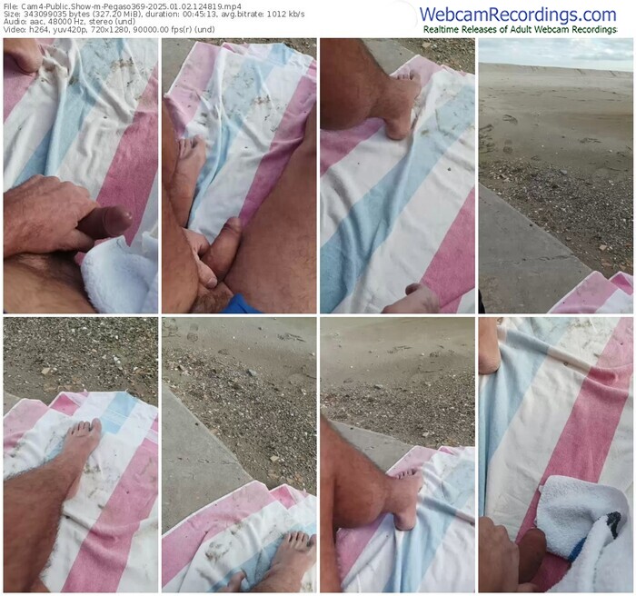 cam4-pegaso369-01-02-2025-12-48-19