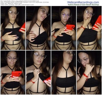 cam4-aguusibarra-01-03-2025-01-08-00