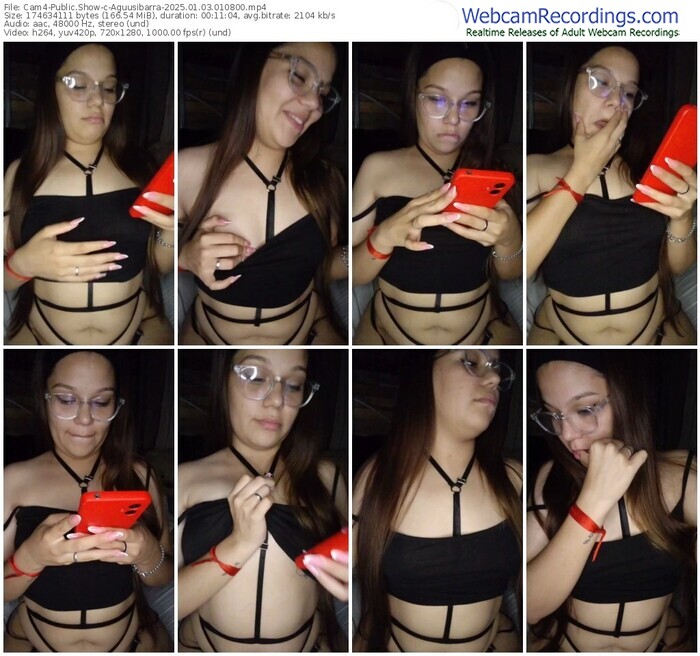 cam4-aguusibarra-01-03-2025-01-08-00