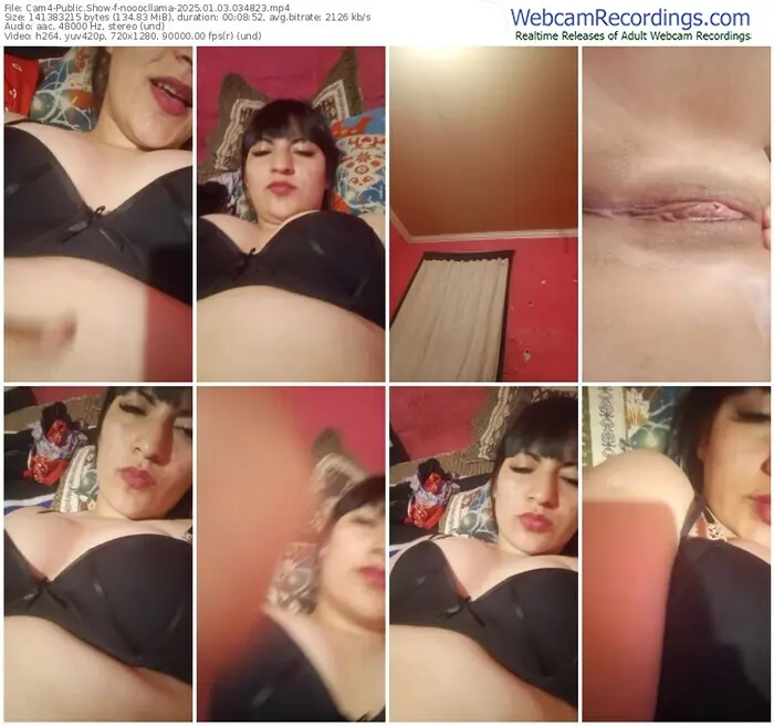 cam4-nooocllama-01-03-2025-03-48-23