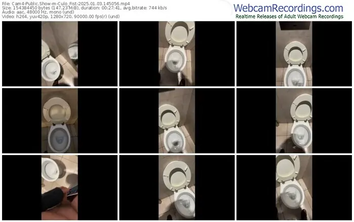 cam4-culo_fist-01-03-2025-14-50-56