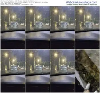 cam4-fireface29-01-03-2025-09-14-36