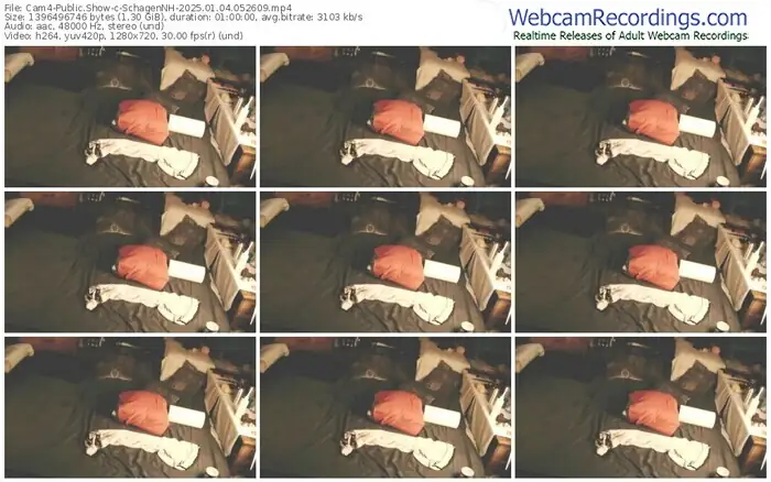 cam4-schagennh-01-04-2025-05-26-09