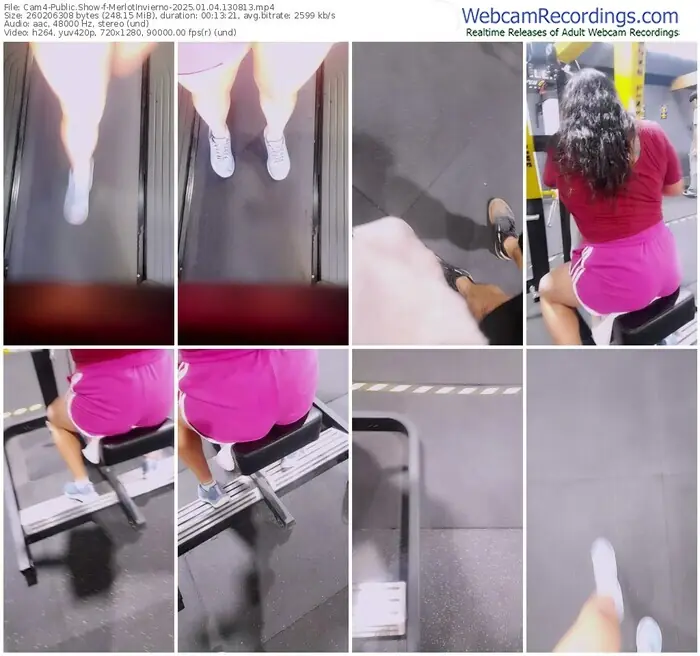 cam4-merlotinvierno-01-04-2025-13-08-13