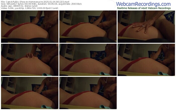 cam4-hommesucre-01-04-2025-00-12-15
