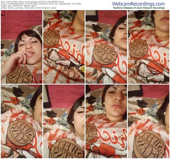 cam4-nooocllama-01-06-2025-04-54-05