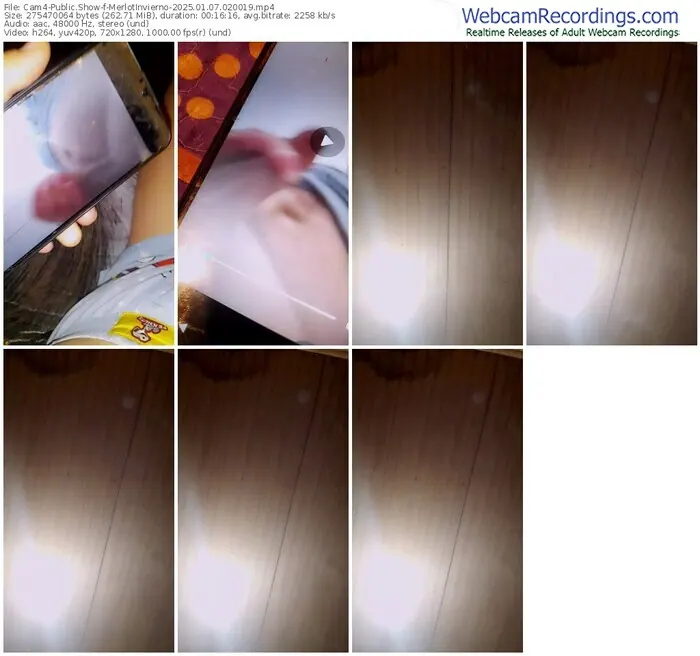 cam4-merlotinvierno-01-07-2025-02-00-19