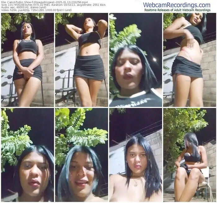 cam4-showpublicpee1-01-10-2025-23-32-58