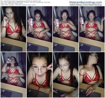 cam4-aguusibarra2-01-11-2025-02-09-03