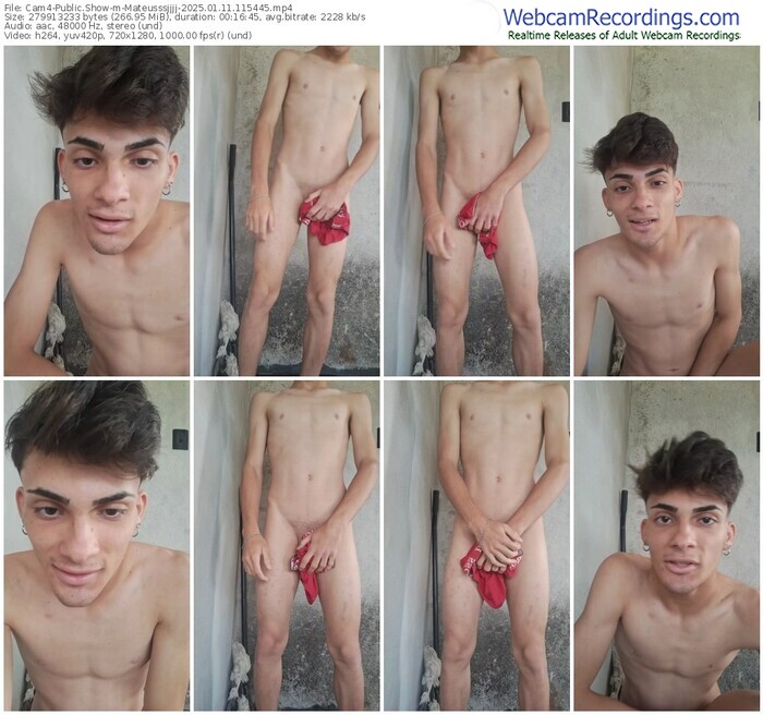 cam4-mateusssjjjj-01-11-2025-11-54-45
