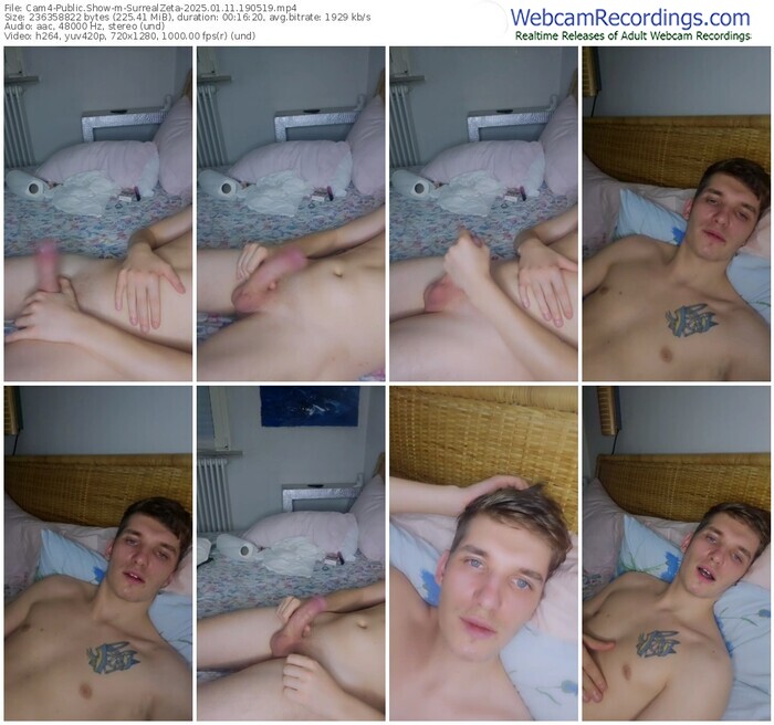 cam4-surrealzeta-01-11-2025-19-05-19