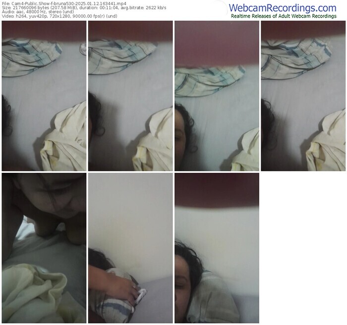 cam4-bruna530-01-12-2025-16-34-41