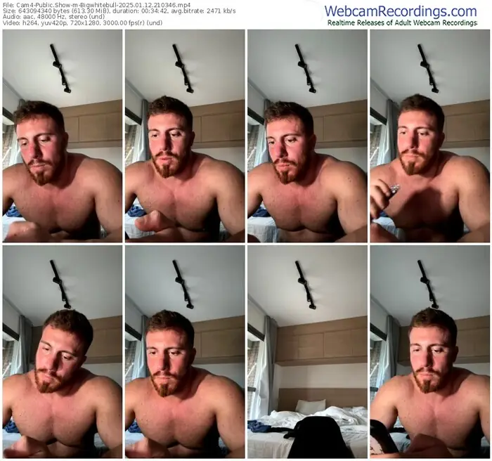 cam4-bigwhitebull-01-12-2025-21-03-46