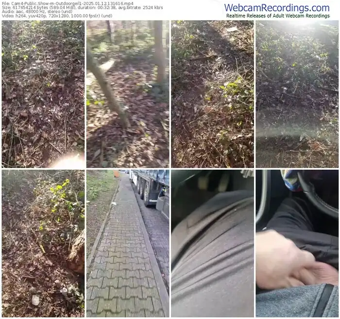 cam4-outdoorgeil1-01-12-2025-13-16-16