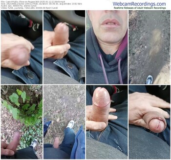 cam4-pegaso369-01-12-2025-11-36-49