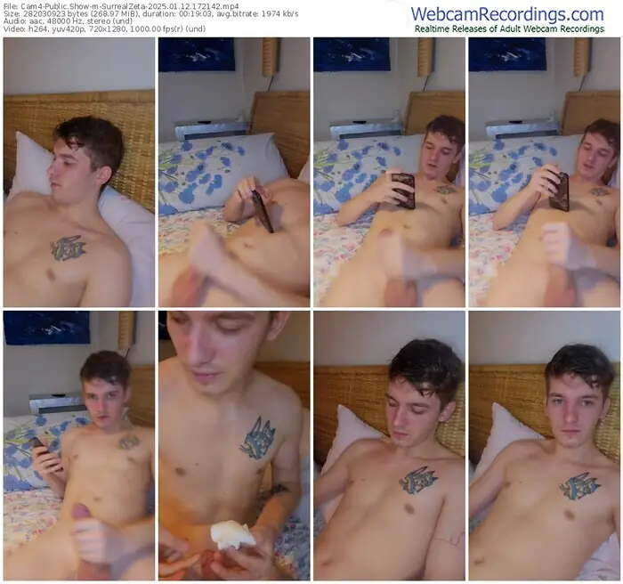 cam4-surrealzeta-01-12-2025-17-21-42