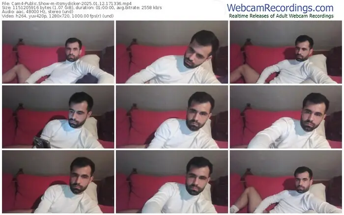 cam4-itsmydicker-01-12-2025-17-13-36