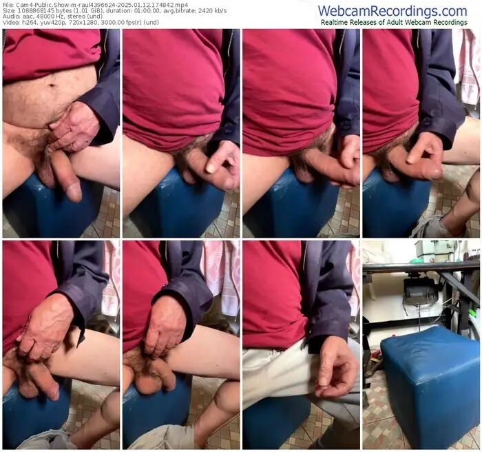 cam4-raul4396624-01-12-2025-17-48-42