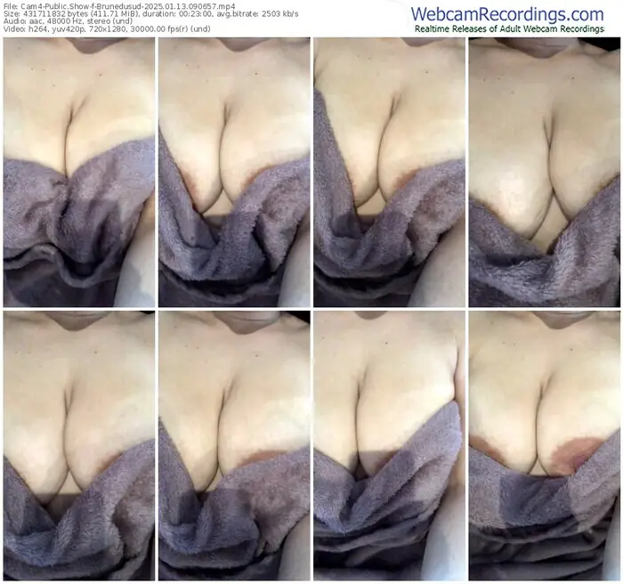 cam4-brunedusud-01-13-2025-09-06-57