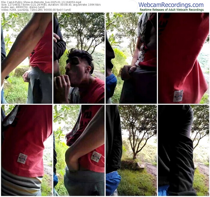 cam4-remote_live-01-13-2025-19-40-53