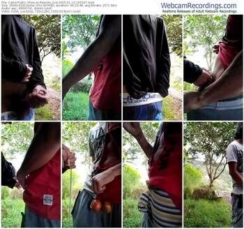 cam4-remote_live-01-13-2025-19-50-47