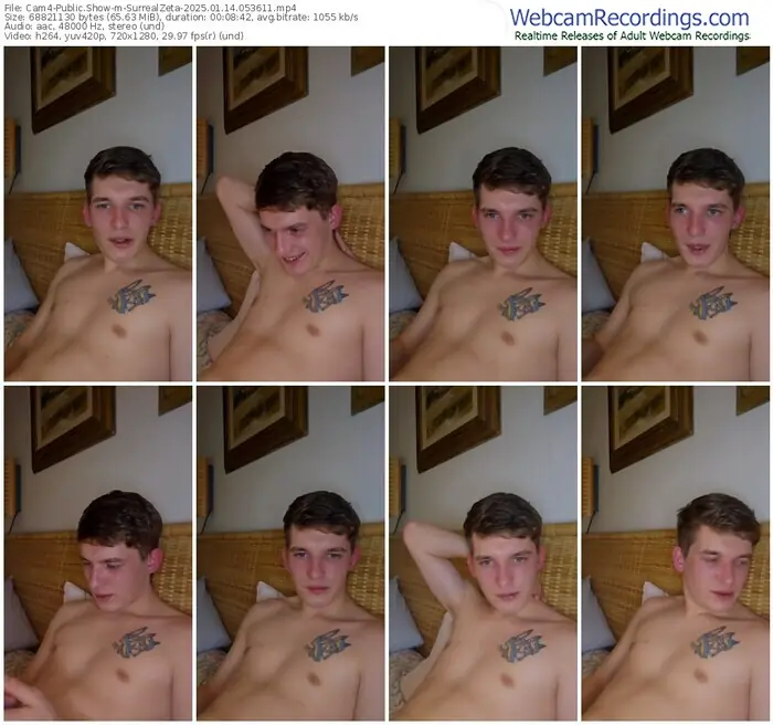 cam4-surrealzeta-01-14-2025-05-36-11