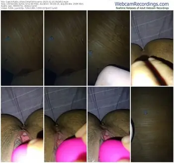 cam4-merlotinvierno-01-15-2025-09-26-52