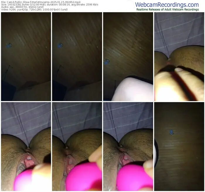 cam4-merlotinvierno-01-15-2025-09-26-52