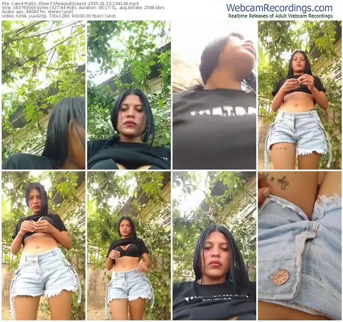 cam4-showpublicpee1-01-15-2025-19-41-28