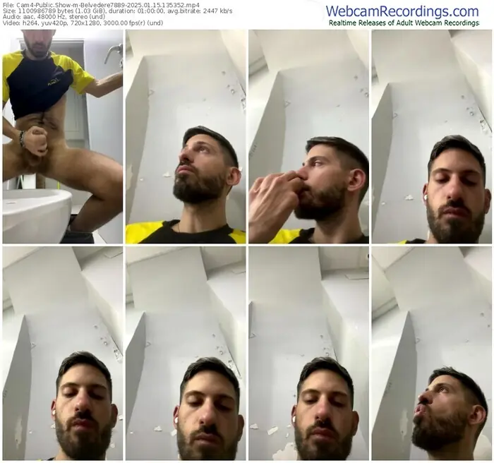 cam4-belvedere7889-01-15-2025-13-53-52