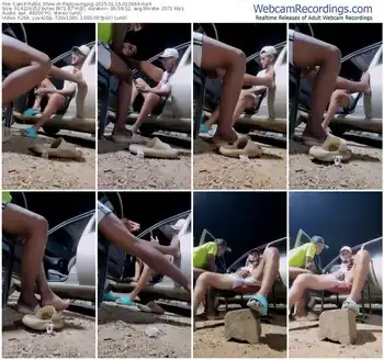 cam4-papiyoungpig-01-15-2025-01-06-44