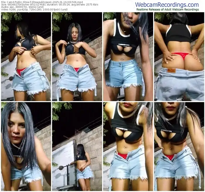 cam4-showpublicpee1-01-16-2025-00-15-06