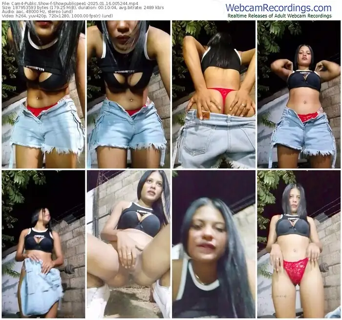 cam4-showpublicpee1-01-16-2025-00-52-44