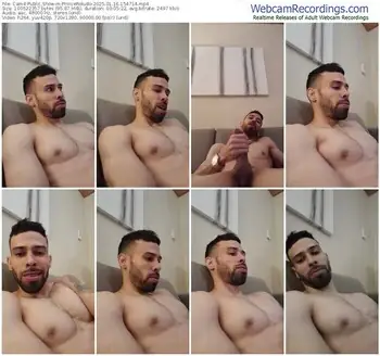 cam4-princeroludo-01-16-2025-15-47-14