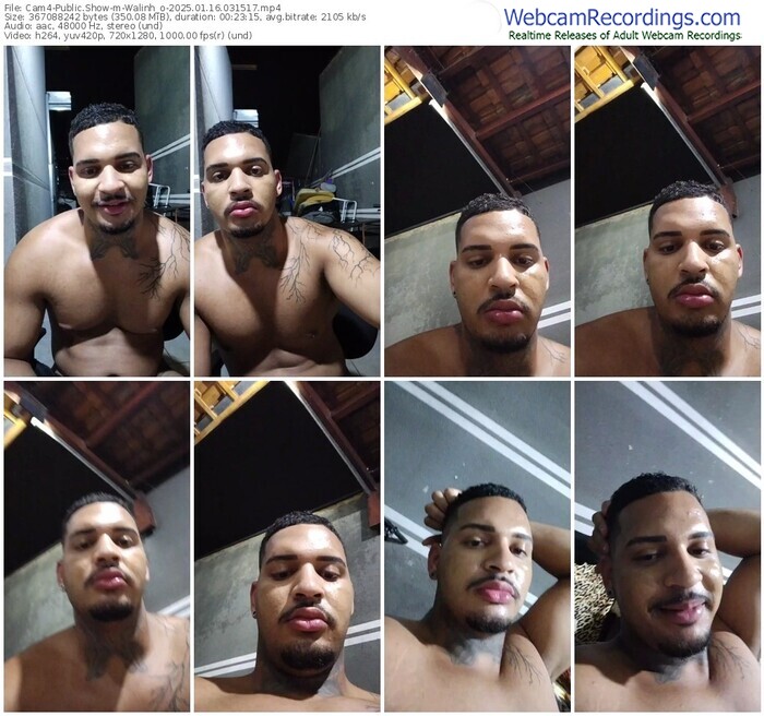 cam4-walinh_o-01-16-2025-03-15-17