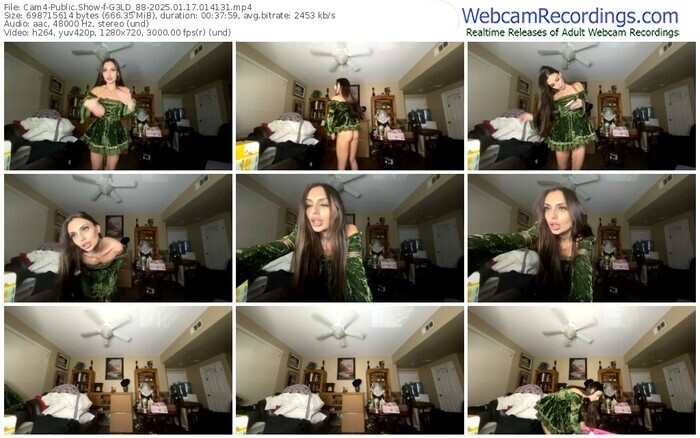 cam4-g3ld_88-01-17-2025-01-41-31