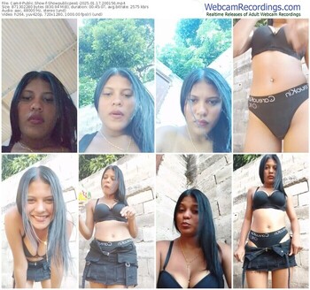 cam4-showpublicpee1-01-17-2025-20-01-56
