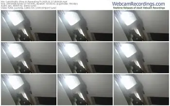 cam4-raveisking75-01-17-2025-05-39-26