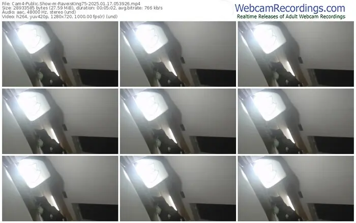 cam4-raveisking75-01-17-2025-05-39-26
