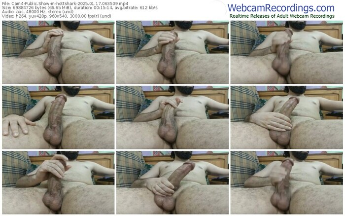 cam4-hottshark-01-17-2025-06-35-09