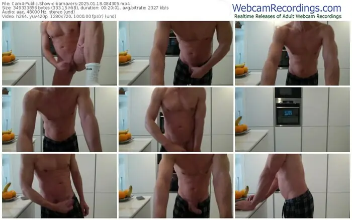 cam4-barnavers-01-18-2025-08-43-05