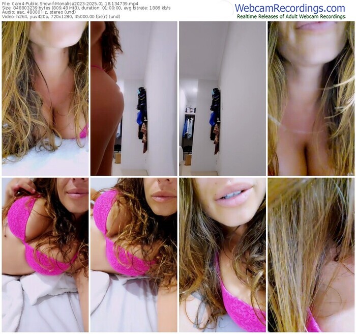 cam4-monalisa2023-01-18-2025-13-47-39