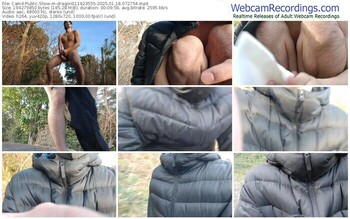 cam4-dragon011423555-01-18-2025-07-27-54