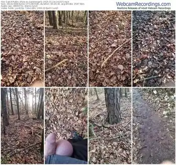 cam4-outdoorgeil1-01-19-2025-14-10-15