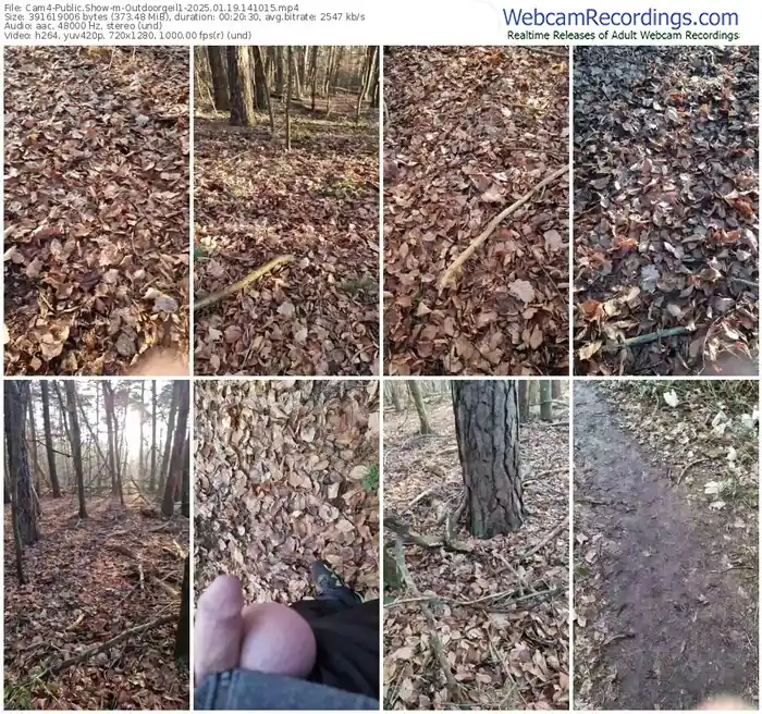 cam4-outdoorgeil1-01-19-2025-14-10-15