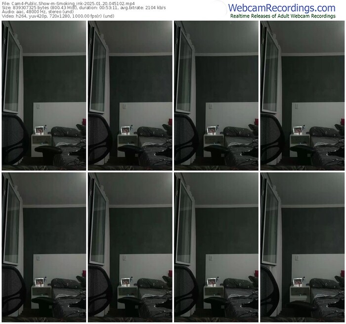 cam4-smoking_ink-01-20-2025-04-51-02